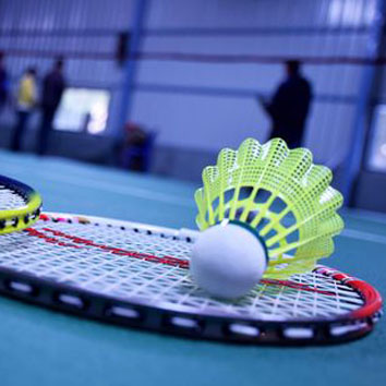 groundskart1badminton 3