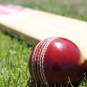 groundskart1cricket 2 300x300