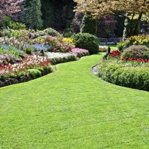 groundskart1landscaing 300x300